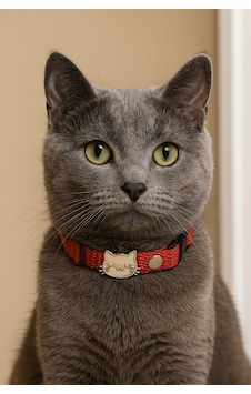 Mıt Kedi Boyun Tasması Kedi Figürlü Kırmızı Mıt Kedi Boyun Tasması Kedi Figürlü Kırmızı