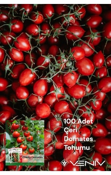 100 Adet Çeri Domates Tohumu 2 Paket 100 Adet Çeri Domates Tohumu 2 Paket