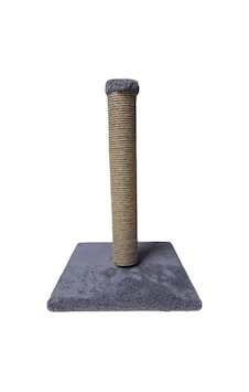 Catlife 50cm Eco Kedi Tırmalama Asortili