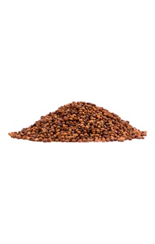 Atasagun Şifa Turp Tohumu 1 KG