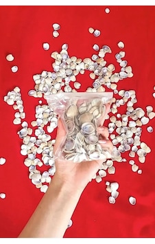 Tr Küçük Deniz Kabuğu 100 Gr - Süs - Dekoratif - Hobi - Akvaryum Süsleme Tr Küçük Deniz Kabuğu 100 Gr - Süs - Dekoratif - Hobi - Akvaryum Süsleme