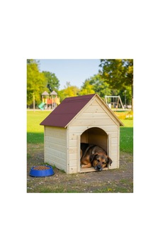 Köpek Kulübesi Ahşap