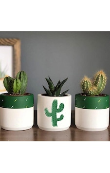 Kaktüs Desenli Saksı 3'lü Set Bitkisiz Kaktüs Desenli Saksı 3'lü Set Bitkisiz