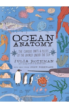 Ocean Anatomy The Curious Parts & Pieces of the World Under the Sea - Anatomy Ocean Anatomy The Curious Parts & Pieces of the World Under the Sea - Anatomy