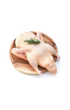 Araz Et Ayvat Ördek Eti 1 Kg Taze Ve Besleyici Kırmızımsı Beyaz Et