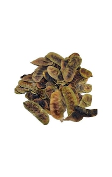 Açlık Devegözü Otu 500 G Açlık Devegözü Otu 500 G