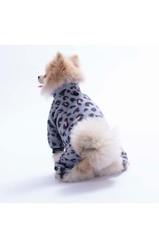 Gri Innsbruck Leopard Desenli Tulum Küçük Irk Peluş Tulum Köpek Tulumu Köpek Kıyafeti Kedi Kıyafeti Gri Innsbruck Leopard Desenli Tulum Küçük Irk Peluş Tulum Köpek Tulumu Köpek Kıyafeti Kedi Kıyafeti
