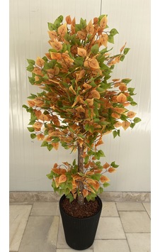 Sarı Yeşil Sakura Ağacı 170cm Siyah Luna Saksı Çok Renkli Sarı Yeşil Sakura Ağacı 170cm Siyah Luna Saksı Çok Renkli