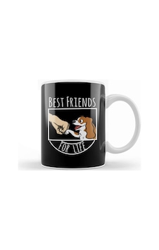 Cavalier King Charles Spaniel Best Friends For Life Kupa Bardak Porselen Karışık Cavalier King Charles Spaniel Best Friends For Life Kupa Bardak Porselen Karışık