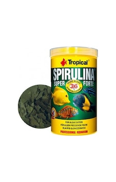 Tropical Spirulina Super Forte Pul Yem 50 Gr Kovadan Bölme Tropical Spirulina Super Forte Pul Yem 50 Gr Kovadan Bölme