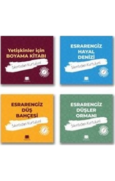 Yetişkinler İçin Mandala Seti 4 Kitap / Emine Yıldızgil