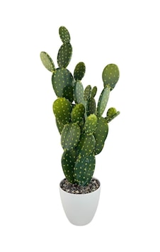 Yapay Kaktüs Ağacı Tavşan Kulağı Büyük Boy - Beyaz Saksıda Yapay Bitki 85 35cm Yeşil Yapay Kaktüs Ağacı Tavşan Kulağı Büyük Boy - Beyaz Saksıda Yapay Bitki 85 35cm Yeşil