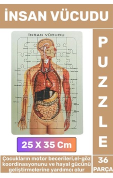 Eğitici Eğlenceli El-göz Koordinasyonu Motor Becerisi Geliştiren 36 Parça Puzzle İnsan Vücudu Eğitici Eğlenceli El-göz Koordinasyonu Motor Becerisi Geliştiren 36 Parça Puzzle İnsan Vücudu
