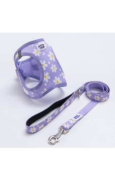 Purple Dream Göğüs Tasması Ve Sevk Kayışı Tasma Seti Papatya Desenli Kedi Köpek Göğüs Tasması Seti Lila Purple Dream Göğüs Tasması Ve Sevk Kayışı Tasma Seti Papatya Desenli Kedi Köpek Göğüs Tasması Seti Lila