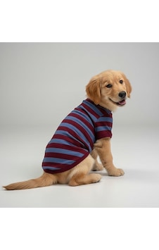 Miniş Trabzon Fans Basic Kaşkorse Köpek Sweatshirtü-21632 Miniş Trabzon Fans Basic Kaşkorse Köpek Sweatshirtü-21632