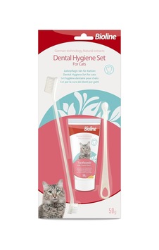 Ayrex Bioline Peynir Aromalı Kedi Ağız Bakım Seti Ayrex Bioline Peynir Aromalı Kedi Ağız Bakım Seti