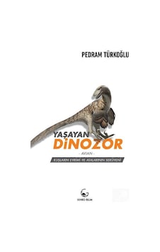 Yaşayan Dinozor - Avian - Kuşların Evrimi ve Atalarının Serüve.