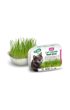Hobi Fileli Kedi Çimi Cat Grass Ekonomik - Sindirim Dostu Ve Eğlenceli Aktivite Hobi Fileli Kedi Çimi Cat Grass Ekonomik - Sindirim Dostu Ve Eğlenceli Aktivite