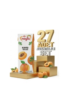 Meysu Nektar Kayısı 27x200 Ml
