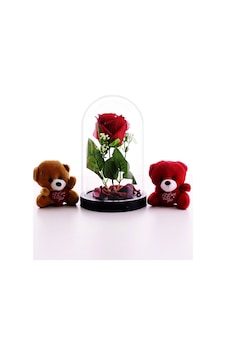Fanusta Led Işıklı Kırmızı Gül Ve 2 Adet Mini Ayıcıklar Sevgiliye Eşe Sürpriz Hediye Seti Strglbl75 Fanusta Led Işıklı Kırmızı Gül Ve 2 Adet Mini Ayıcıklar Sevgiliye Eşe Sürpriz Hediye Seti Strglbl75