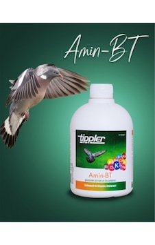 Amin Bt Güvercinler Için Kas Ve Tüy Geliştirici - 500 Ml