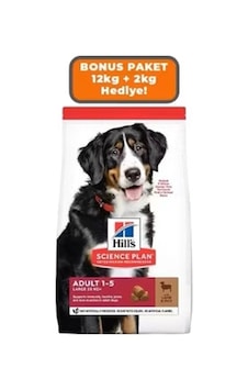 Hill's Scıence Plan Kuzulu Ve Pirinçli Büyük Irk Yetişkin Köpek Maması 12 Kg +2 Kg Hediyeli Hill's Scıence Plan Kuzulu Ve Pirinçli Büyük Irk Yetişkin Köpek Maması 12 Kg +2 Kg Hediyeli