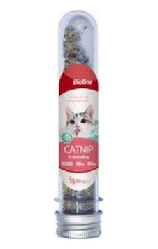 Northcity Catnip Kedi Otu 5 Gr Northcity Catnip Kedi Otu 5 Gr