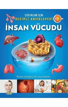 İnsan Vücudu / Çocuklar İçin Resimli Ansiklopedi / Kolektif İnsan Vücudu / Çocuklar İçin Resimli Ansiklopedi / Kolektif