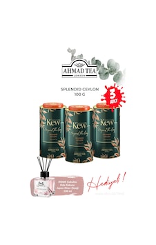 Kew Garden Splendid Ceylon 3 Kutu 100 G Ve Oda Kokusu Diğer Kew Garden Splendid Ceylon 3 Kutu 100 G Ve Oda Kokusu Diğer