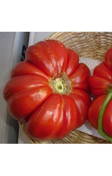 Tohumbaba Domates Tohumu Yayla Domatı Pakette 25 Adet Tohum Tohumbaba Domates Tohumu Yayla Domatı Pakette 25 Adet Tohum