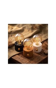 Glbl-tstil4136 Şarjlı Dekoratif Masa Lambası - Kademesiz Dimmer - Type-c Bağlantılı Renk