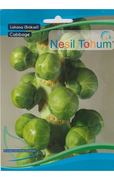 Nesil Brüksel Lahana 200 Adet