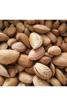 Tiresepeti Yerli Kabuklu Badem 1 KG Tiresepeti Yerli Kabuklu Badem 1 KG