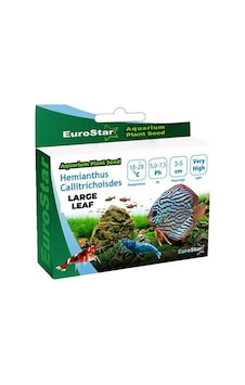 Eurostar Bitki Tohum Large