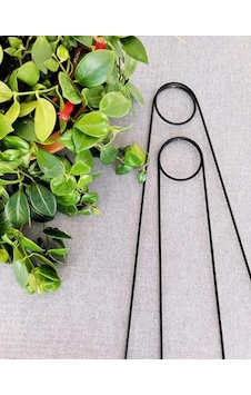 2 Adet Bitki Destek Çubuğu Siyah Metal Kancalıiğne Model, 65 Cm, Sarmaşık Ve Büyük Yapraklı Bitkiler İçin 2 Adet Bitki Destek Çubuğu Siyah Metal Kancalıiğne Model, 65 Cm, Sarmaşık Ve Büyük Yapraklı Bitkiler İçin