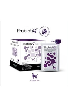 Vetqom Probiotiq Köpek Probiyotik Desteği Kötü Koku, İshal, Andstibiyotik Sonrası & Hassas Mide İçin Veteriner Takviyesi