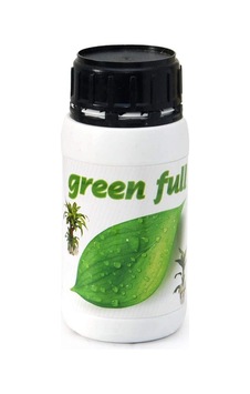 Green Full Salon Bitkisi Besini Green Full Salon Bitkisi Besini