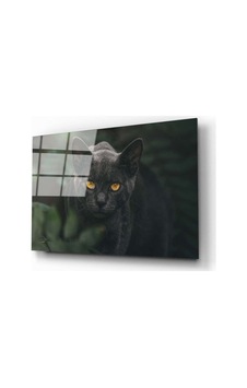 Miyrem Glasses Collection -a1^ Siyah Kedi Cam Tablo Miyrem Glasses Collection -a1^ Siyah Kedi Cam Tablo