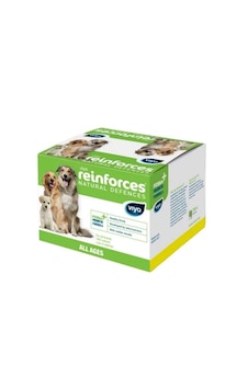 Viyo Reinforces Köpek 7 Şase Köpek Prebiyotik İçecek, Bağırsak Florası Düzenleyici, İştah, Sindirim & Bağışıklık Güçlendirici Sıvı Takviye Viyo Reinforces Köpek 7 Şase Köpek Prebiyotik İçecek, Bağırsak Florası Düzenleyici, İştah, Sindirim & Bağışıklık Güçlendirici Sıvı Takviye