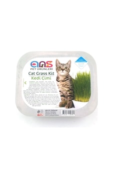 Ans Kedi Çimi Ans Kedi Çimi