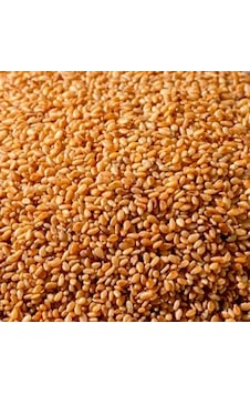 Servet Altın Susam 200 G