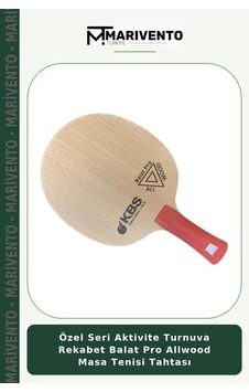 Özel Seri Aktivite Turnuva Rekabet Balat Pro Allwood Masa Tenisi Tahtası Özel Seri Aktivite Turnuva Rekabet Balat Pro Allwood Masa Tenisi Tahtası