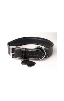 Privilege Hakiki Deri Köpek Boyun Tasması L Siyah 3 x 47-56 CM Privilege Hakiki Deri Köpek Boyun Tasması L Siyah 3 x 47-56 CM