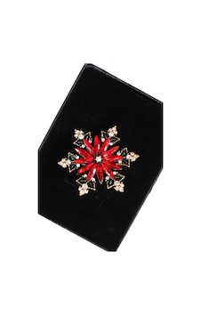 Kış Rüyası Kar Tanesi Broş Unisex Gold Renkl Kristal Taşlı Erkek Kadın Kar Taneli Yaka İğnesi Broş Çok renkli Kış Rüyası Kar Tanesi Broş Unisex Gold Renkl Kristal Taşlı Erkek Kadın Kar Taneli Yaka İğnesi Broş Çok renkli