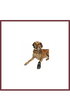Storeşahin Neopren Köpek Patiği 2 Adet Siyah Xxxl Shn0720 Storeşahin Neopren Köpek Patiği 2 Adet Siyah Xxxl Shn0720