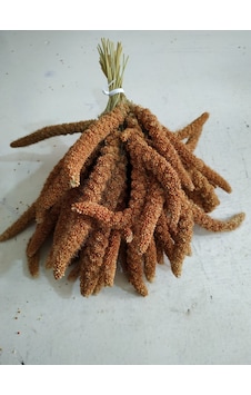 Doğal Kizil Dal Dari 250gr Doğal Kizil Dal Dari 250gr