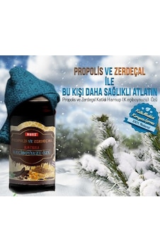 Nurs Lokman Hekim Propolis Ve Zerdeçal Katkılı Keçiboynuzu Özü 640 G Nurs Lokman Hekim Propolis Ve Zerdeçal Katkılı Keçiboynuzu Özü 640 G