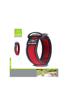 Nunbell Köpek Boyun Tasması Air-mesh 2.5cm 2749 Çok Renkli Nunbell Köpek Boyun Tasması Air-mesh 2.5cm 2749 Çok Renkli