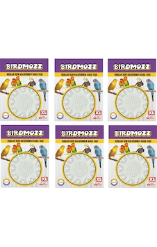 Birdmozz Kuşlar İçin XL Büyük Boy Kalsiyumlu Gaga Taşı 6 Adet