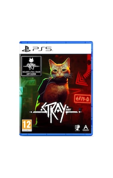 Stray PS5 Oyun